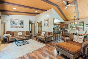 Smart TV, fireplace, books, video library