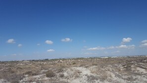 Eine Küstenlandschaft mit spärlicher Vegetation und blauem Himmel.