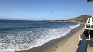 Una playa con vista despejada al océano, un ave volando sobre ella y un edificio con terraza a la derecha.