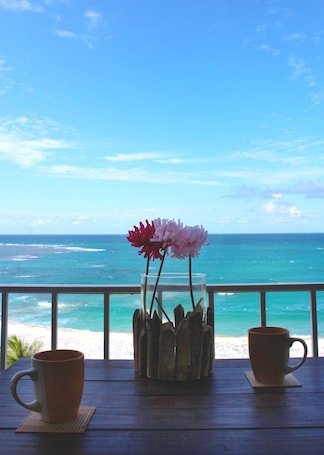 Property grounds. Spectacular Studio Apt With Spectacular Ocean View, Right Across A