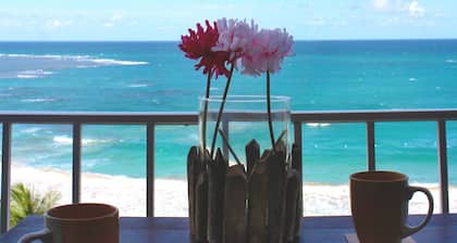 Spectacular Studio Apt With Spectacular Ocean View, Right Across A