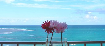 Spectacular Studio Apt With Spectacular Ocean View, Right Across A