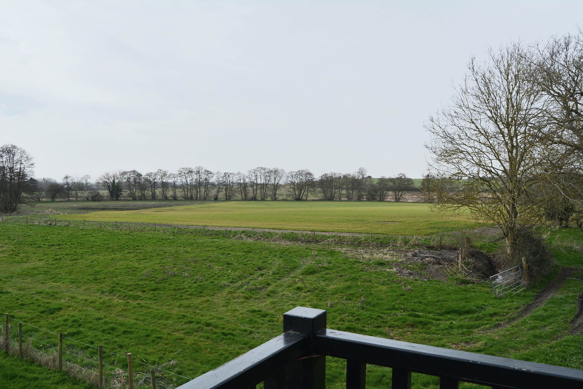 A rural landscape with a grassy field, trees, and a wooden fence.