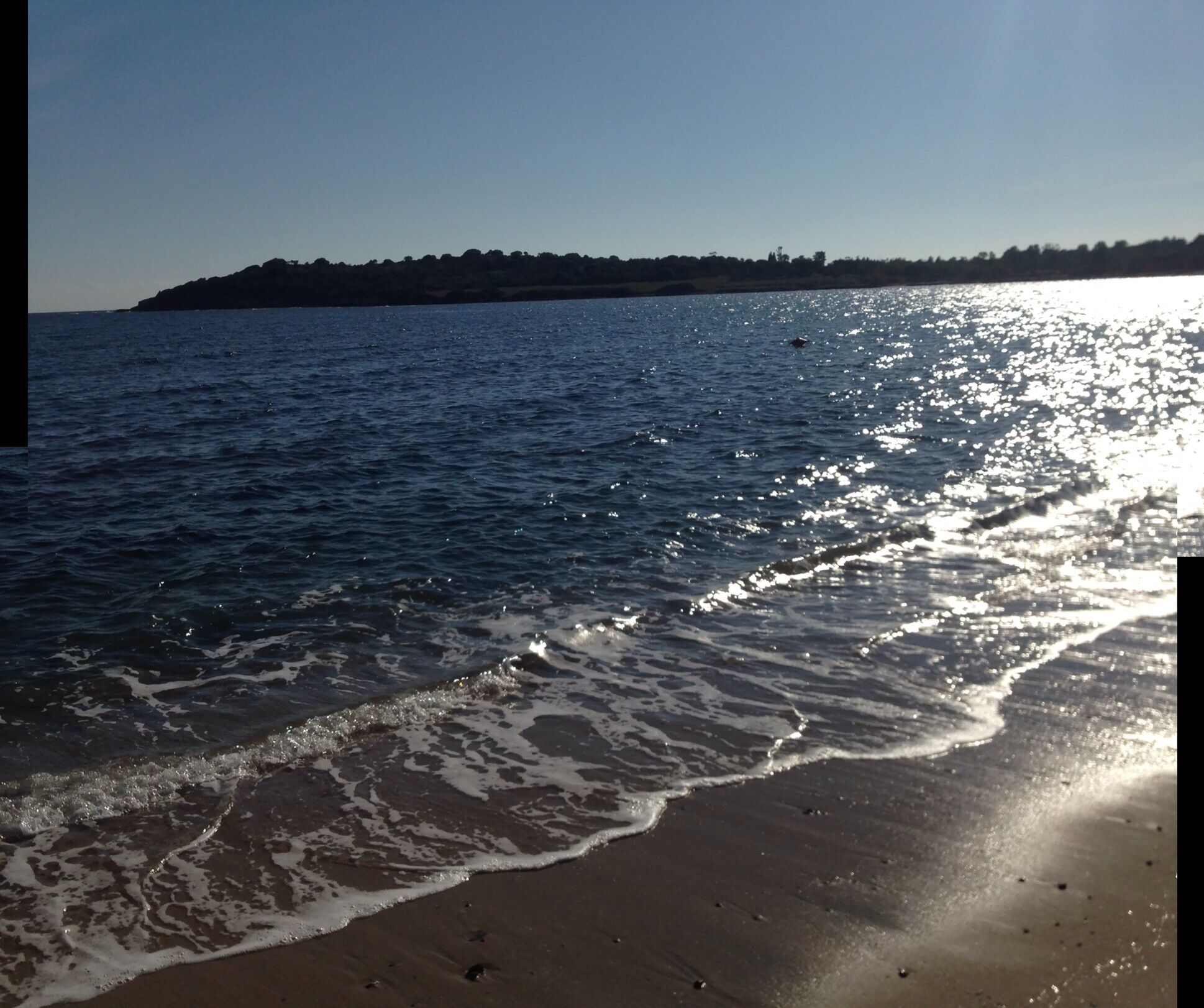 在海灘附近、躺椅