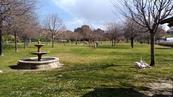 Terrein van de accommodatie