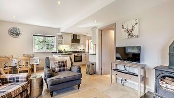 TV, DVD player, video library