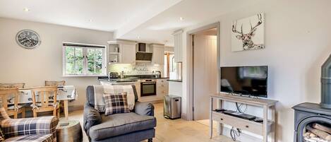 TV, DVD-spiller og filmbibliotek