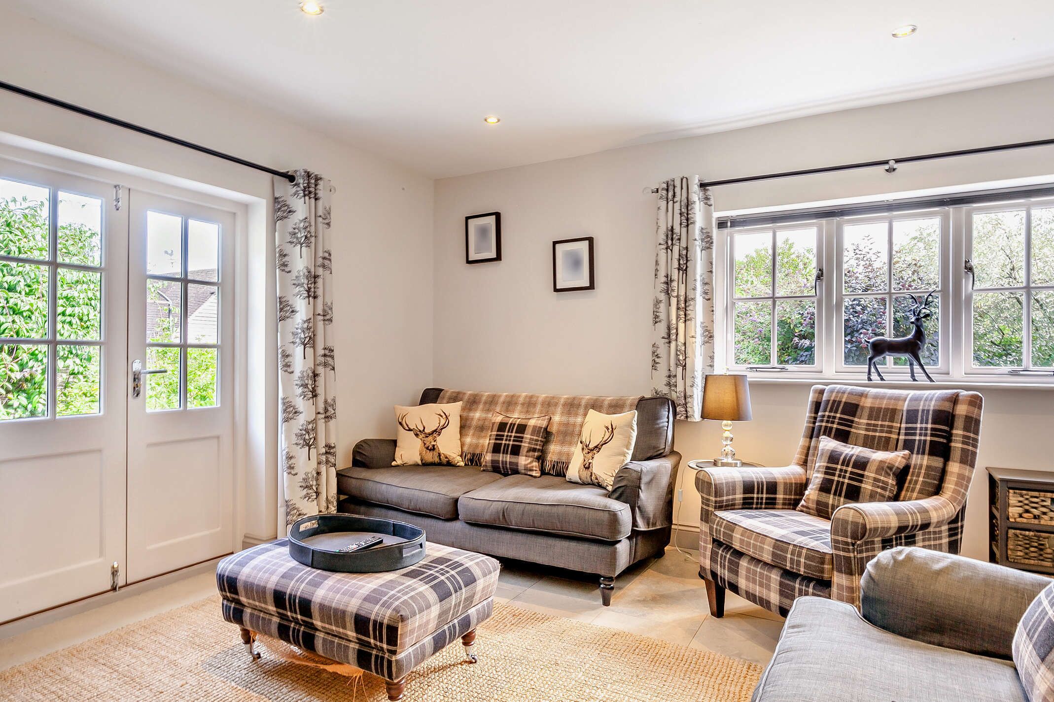 TV, DVD player, video library