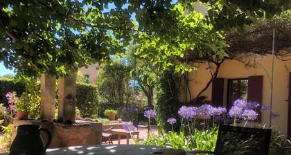 Provencal country house from the mid-19th century, set in a vast garden with two-hundred-year-old pines