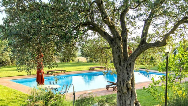 A swimming pool surrounded by a well-maintained lawn, with a large tree in the foreground. - Hilltop farmhouse with pool and sea view (pereta (GR))