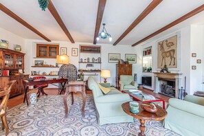 Televisión, chimenea, reproductor de DVD, libros