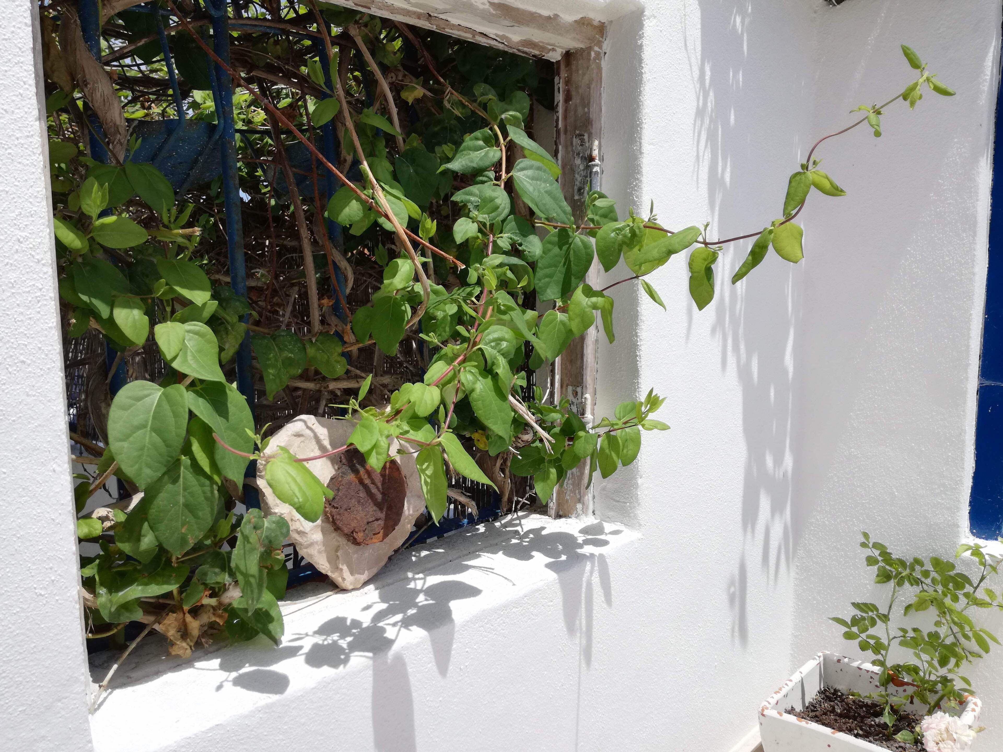 Cozy house in the center of Alfarim