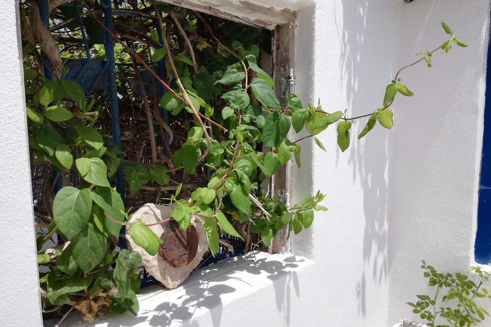 Cozy house in the center of Alfarim