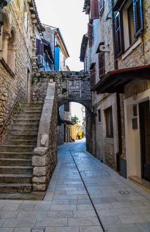Une rue étroite, pavée de pierres, bordée de bâtiments historiques dotés d’escaliers en pierre et de volets en bois.