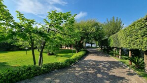 Un camí asfaltat a un parc, amb gespa verda i arbres a banda i banda.
