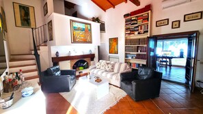 Smart TV, chimenea, libros