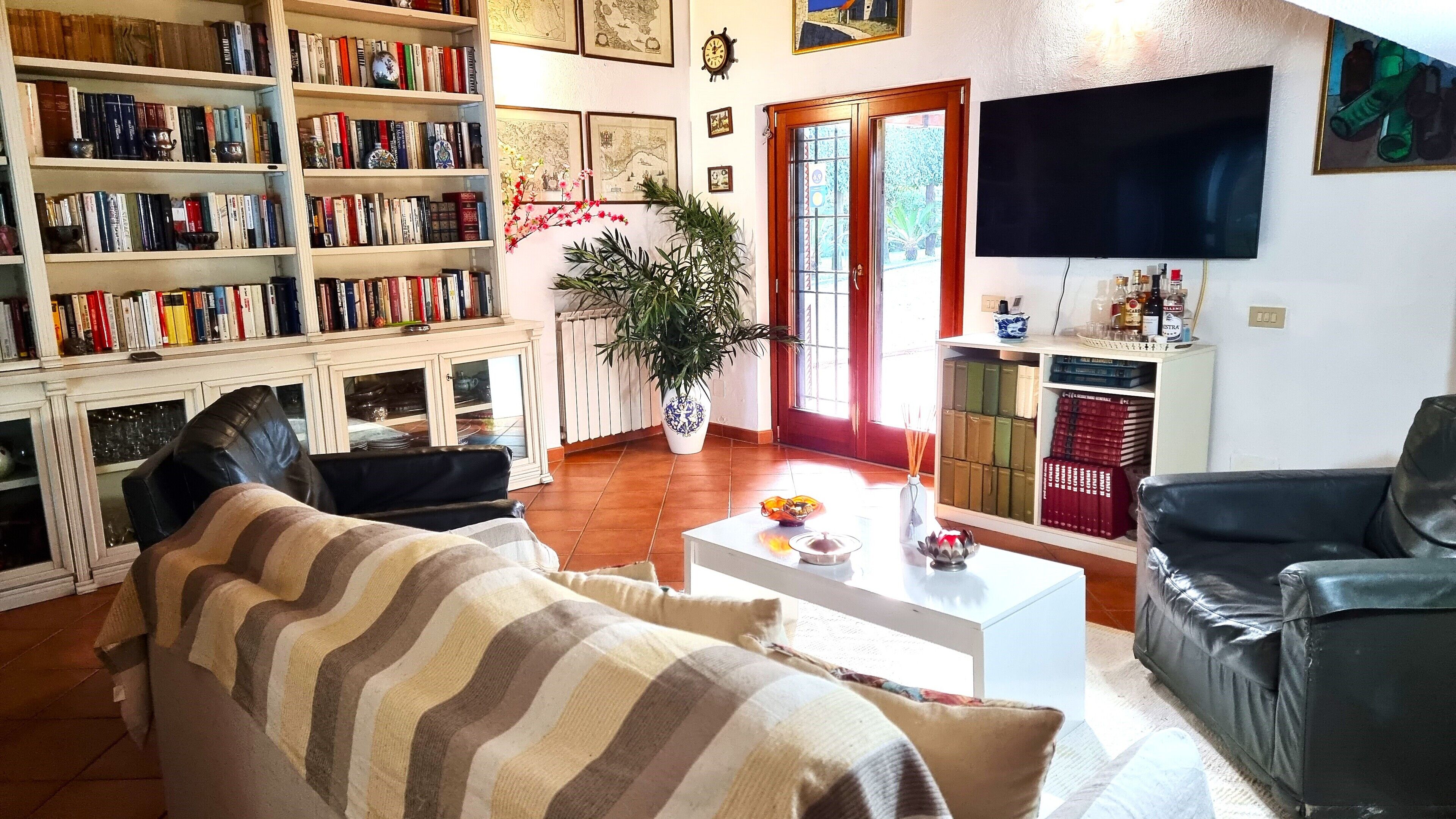 Smart TV, caminetto, libri