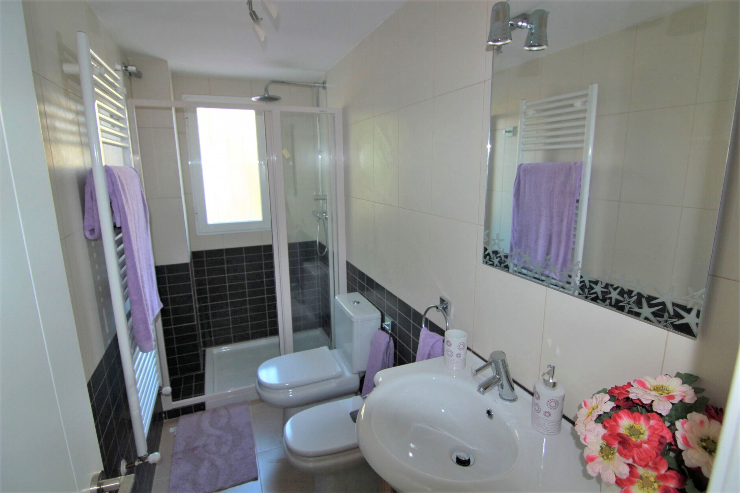 Une salle de bain avec un lavabo blanc, un miroir, une douche et des toilettes.
