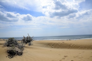 A sandy beach with dunes and sparse vegetation.