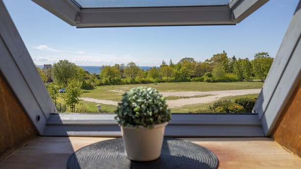 A skylight window with a potted plant on a wooden surface, overlooking a green park and a body of water. - Studio apartment with sea view (Grömitz)