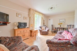 TV, DVD player, ping pong, books