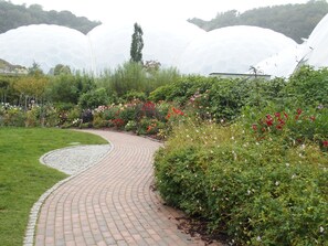 Un sendero en un jardín con superficie de ladrillo, rodeado de exuberante vegetación y plantas en flor.