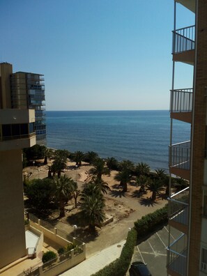 Vista de una playa con palmeras y un estacionamiento, con vista al océano.
