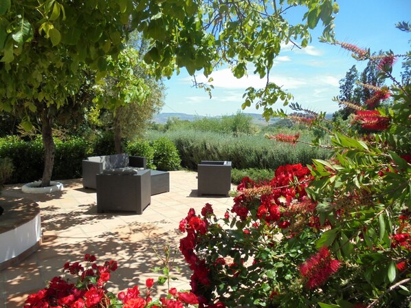 Terrace/patio - A comfortable country house situated in the Natural Park, Sierra de Grazalema. (Grazalema)