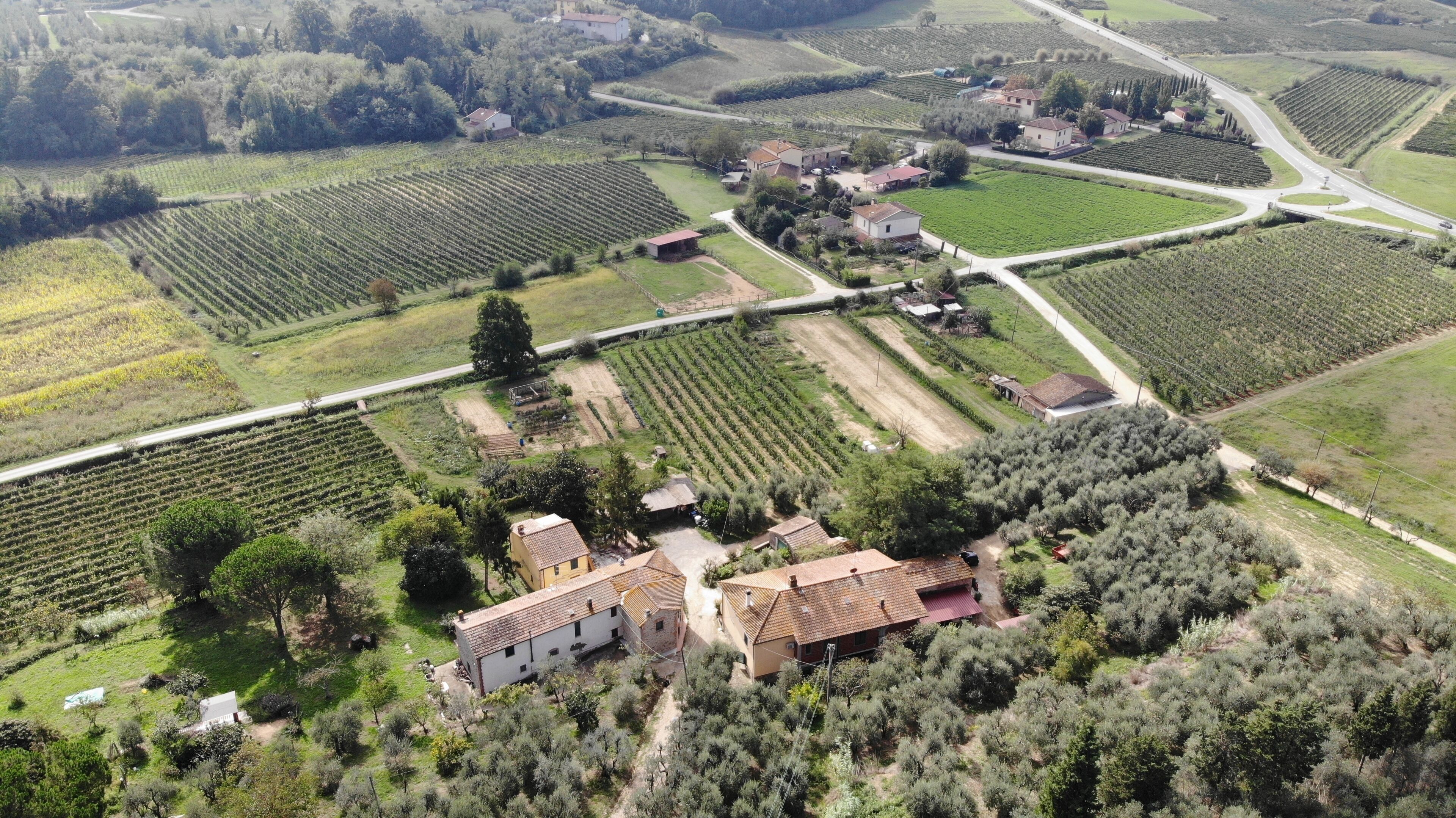 B&B IL PIASTRINO IN VINCI, IN THE HEART OF TUSCANY