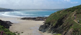 Fowey Apartment With Outdoor Pool And Gardens In Historic Mansion House