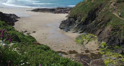 Fowey Apartment With Outdoor Pool And Gardens In Historic Mansion House