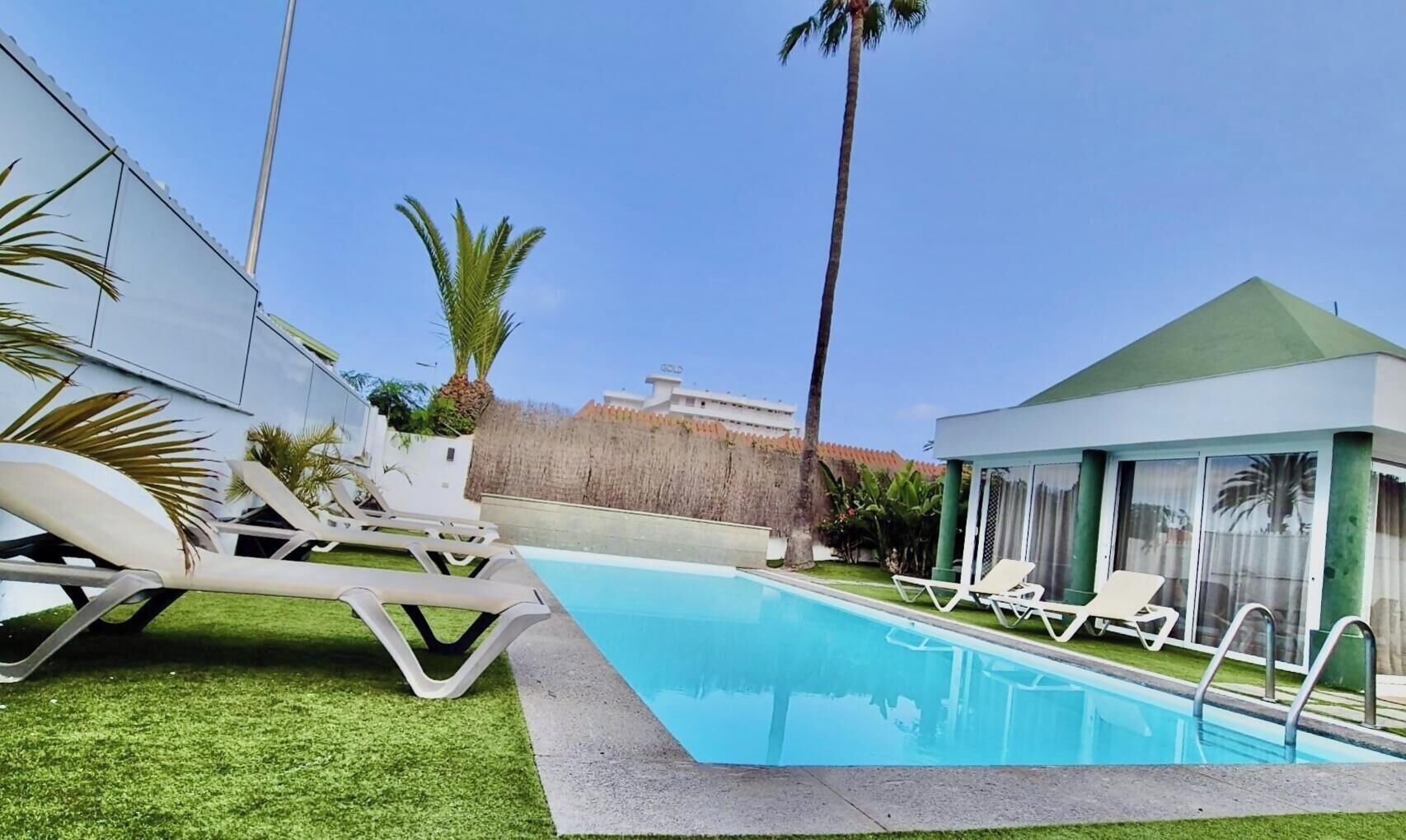 A swimming pool with lounge chairs, a small building, and a palm tree.