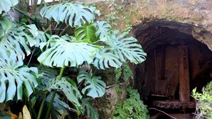 Entrada natural de caverna rodeada por vegetação exuberante.