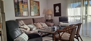 Télévision, lecteur de DVD, livres