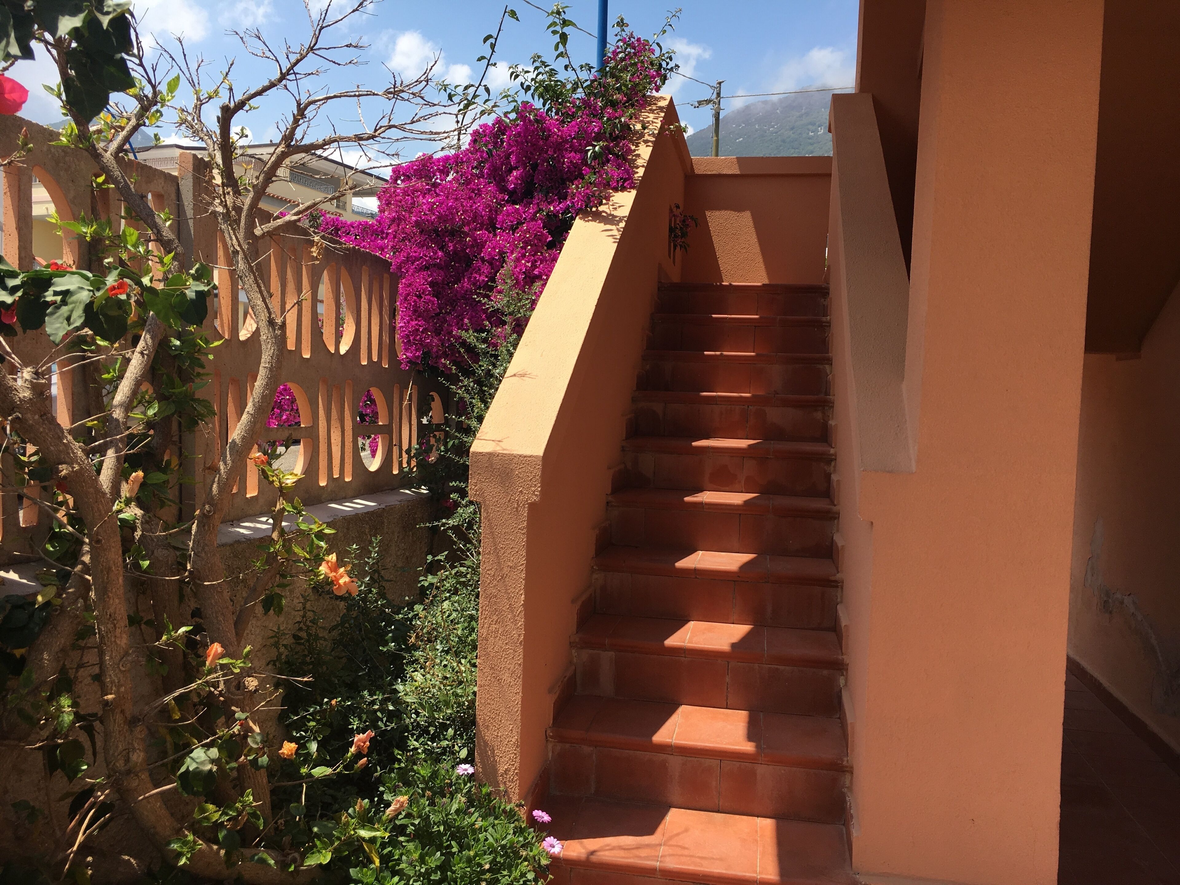 Àrea exterior de l'allotjament