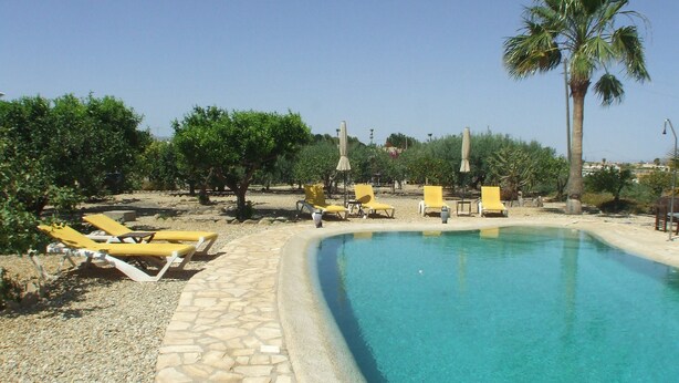Zona de piscina amb gandules grogues i una palmera.