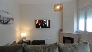 TV, fireplace, books