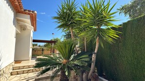 A courtyard with palm trees, a stone staircase, and a neatly trimmed hedge. - 0533 Villa Laura Poblets (Denia)