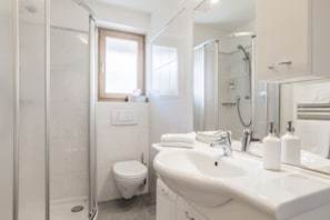 Bathroom features a walk-in shower, toilet, and vanity area with sink and mirror.