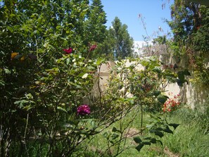 Stroll through this serene garden, surrounded by vibrant blooms and lush greenery.