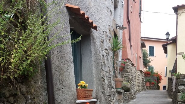 Un étroit sentier de pierre mène à un bâtiment dont la fenêtre est ornée d’un pot de fleurs.