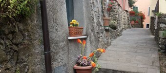 5 Cinque Terre in the countryside (code CITRA 011006-LT-0002)