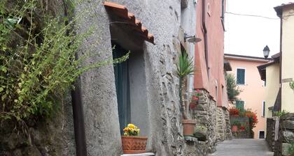 5 Cinque Terre in the countryside (code CITRA 011006-LT-0002)