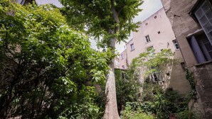 A courtyard with a large tree, surrounded by dense foliage and a building with multiple windows.