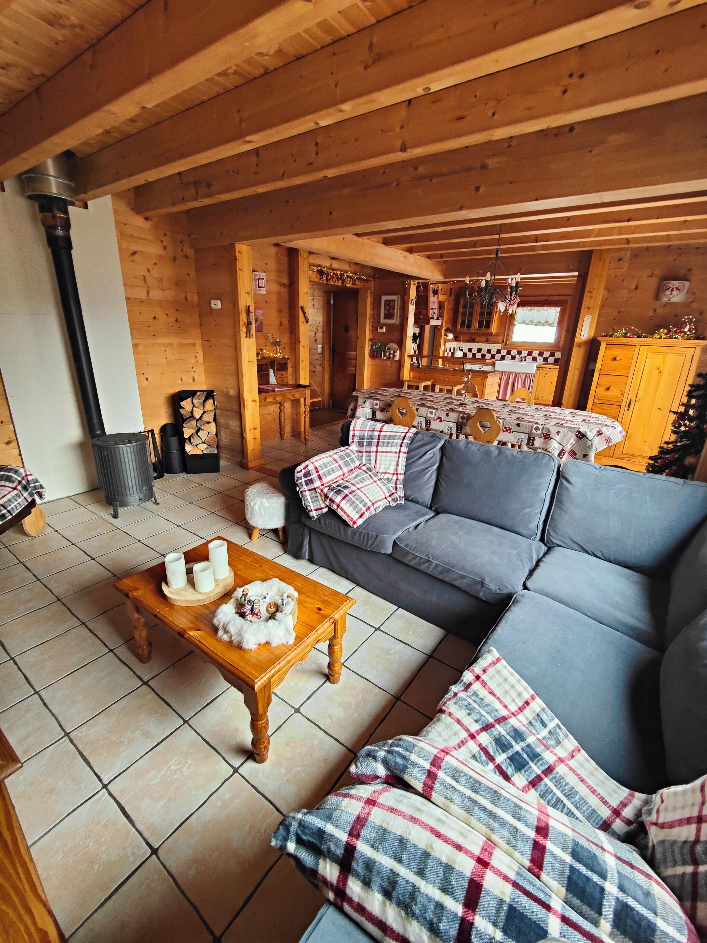 TV, DVD player, video library