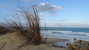Une plage avec du sable, des algues et des vagues.
