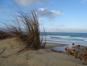 Beach nearby - Architect villa near the ocean in Grayan and the hospital (Grayan-Et-L'hôpital)