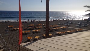 A beach with rows of sun loungers and a palm tree. - Apartment with terrace to enjoy beautiful views. (Mogán)