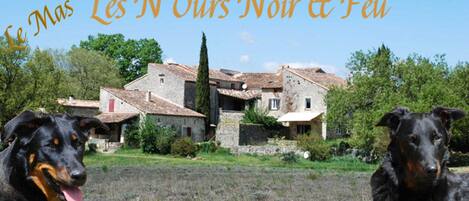 Animaux de compagnie acceptés