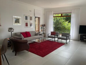 TV connectée, cheminée, chaîne hi-fi